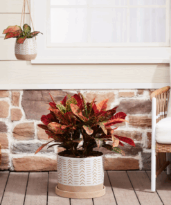 6/12inch Nested Planters Flower Pot For Indoor Plants,  2-Pack