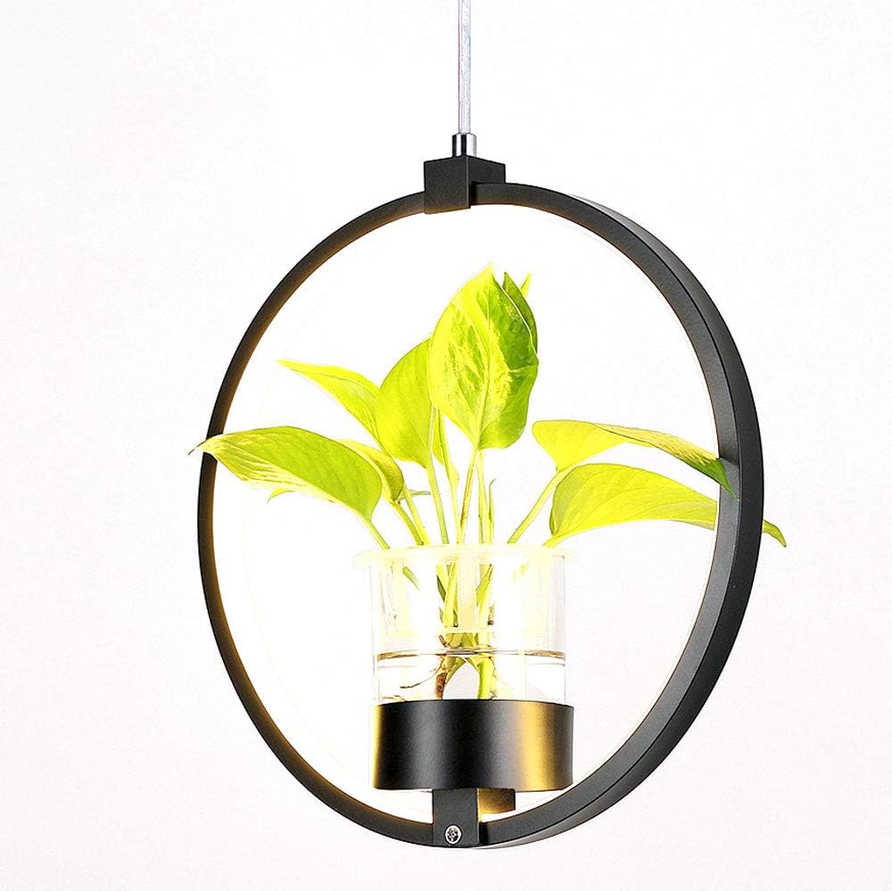 Hanging Ceiling Plant Pendant LED Light Pot for Decoration - Image 2
