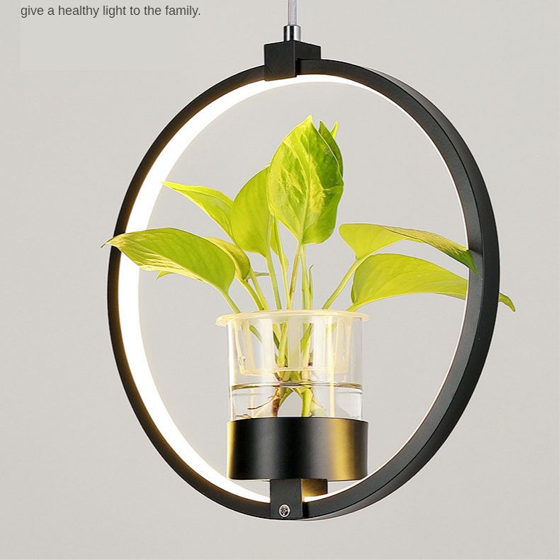 Hanging Ceiling Plant Pendant LED Light Pot for Decoration