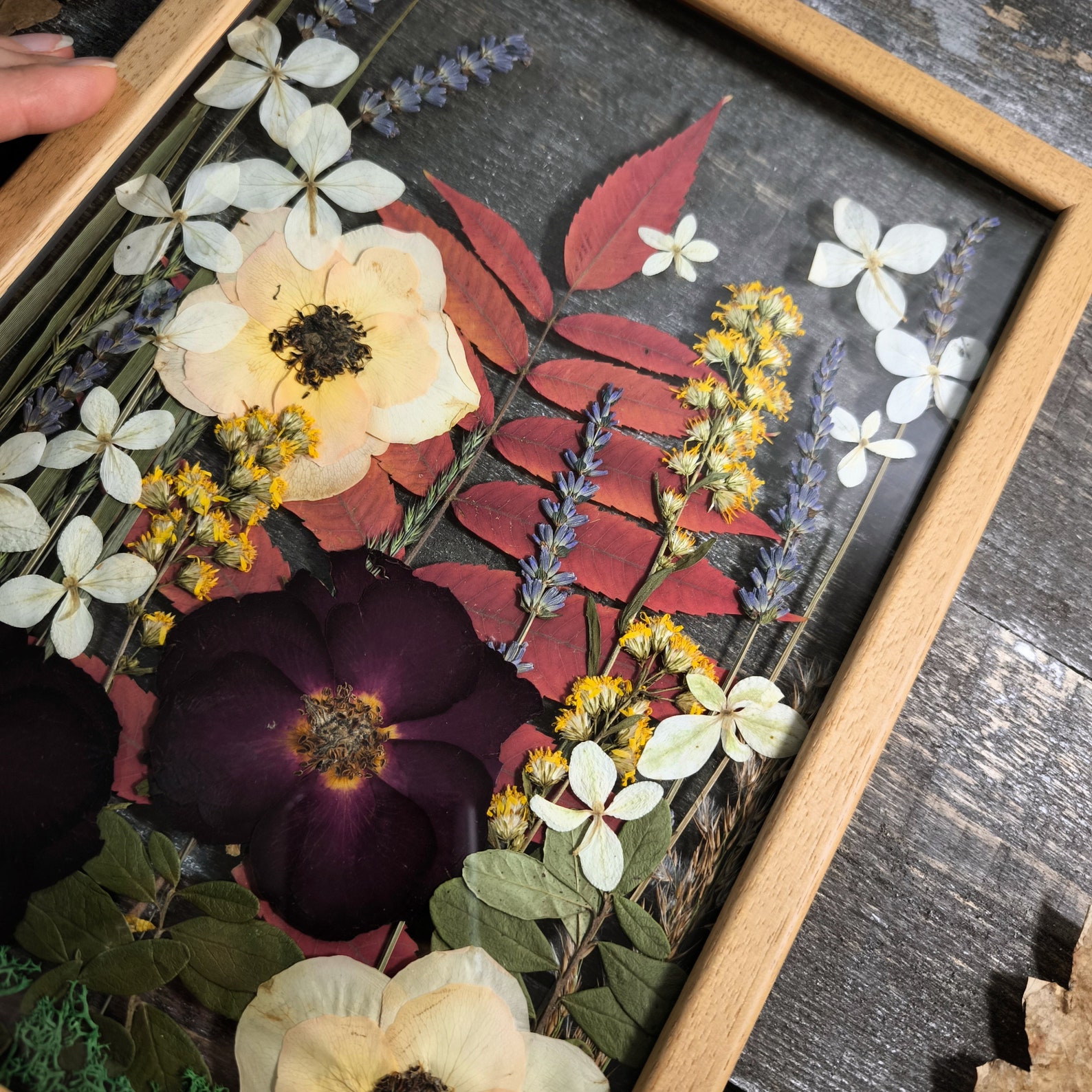 Botanical Art In Wooden Frame, Large Pressed Flower Frame - Image 4