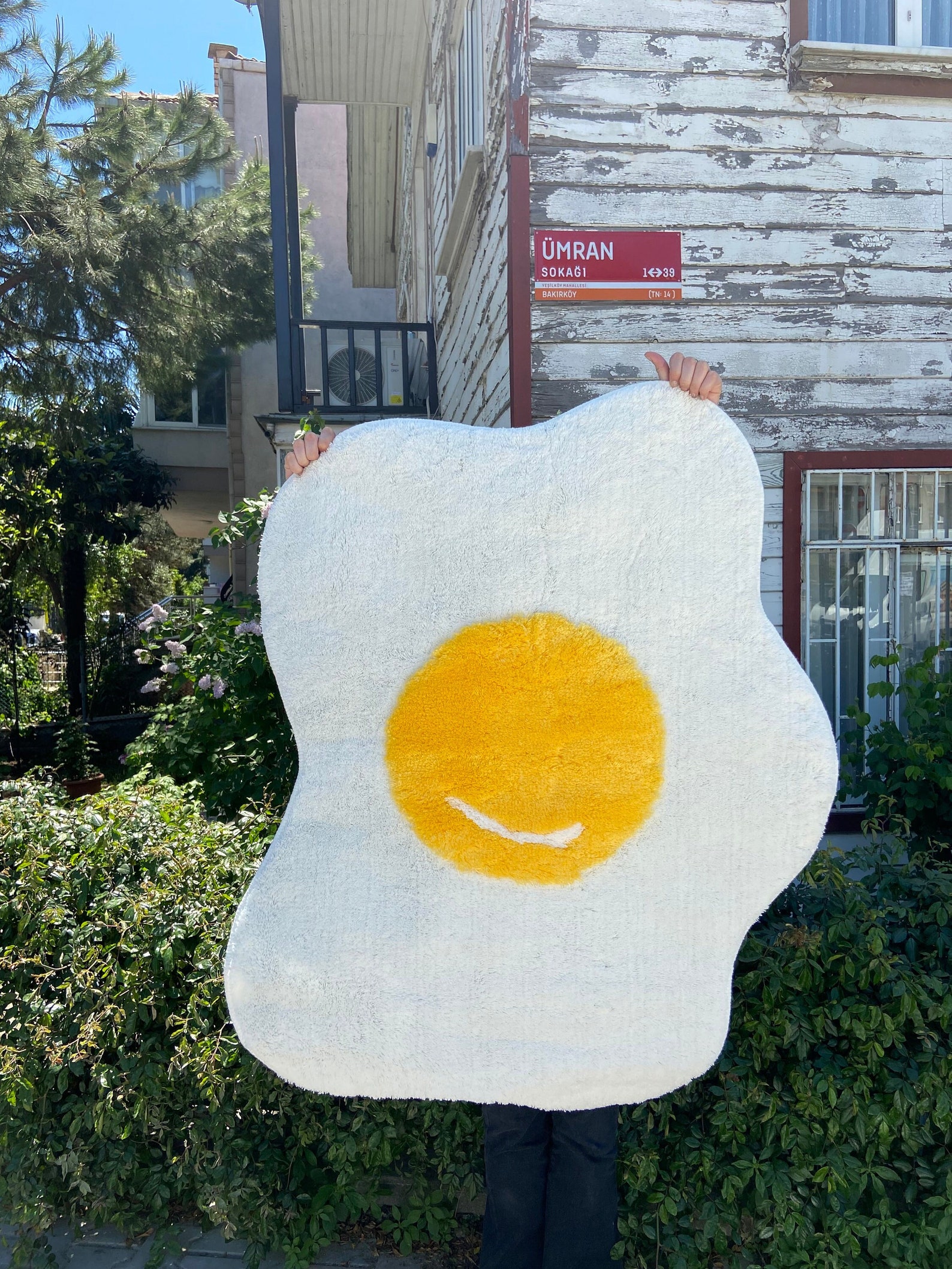 Hand Tufted Egg Rug Fluffy Rug for Bedroom Handmade Tufted Rug Unique Area Rugs for Living Room Modern Washable Rug Nursery Soft Carpet